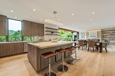 Example of a minimalist kitchen design in San Francisco
