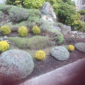 Nanaimo 2