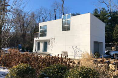 Inspiration for a modern home design remodel in New York