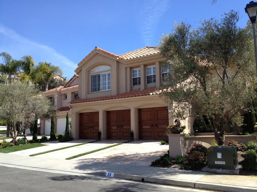 What Type Of Windows Should I Get For My House
