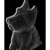Ross Beardsley's photo