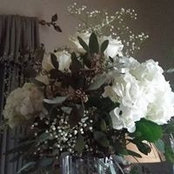 Peggy Sullivan's photo