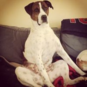 Katy Hughes's photo