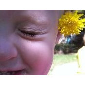 Photo de Katie Parkman