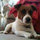 webuser_958671
