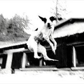 Giovanni Bruni's photo