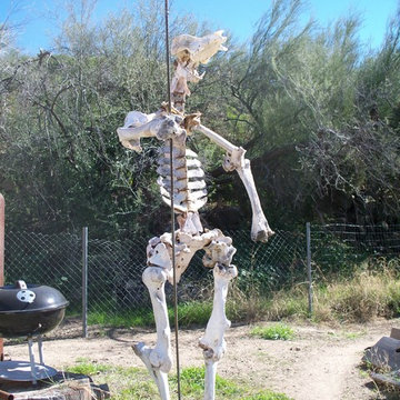 Yard Art