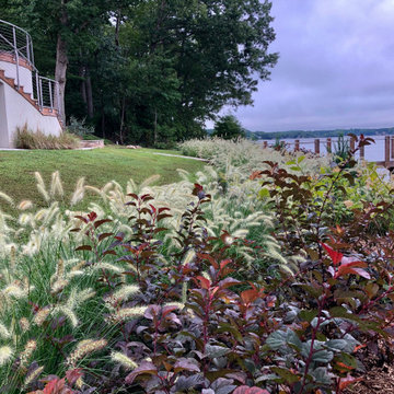 Ninebarks and pennisetum