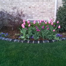janice_hendricks25's ideas