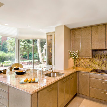Luxurious Kitchen
