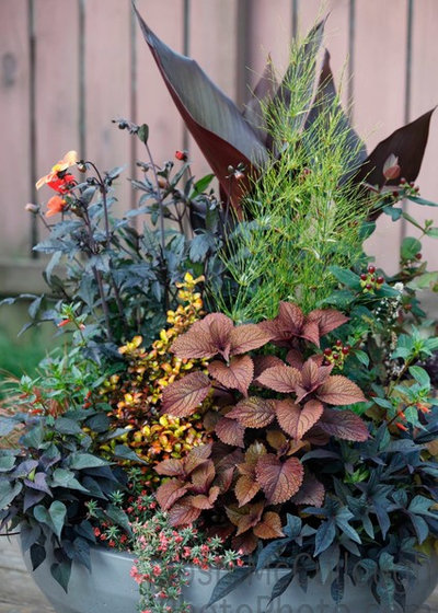 Traditional Landscape by Pot Incorporated