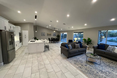 Example of a minimalist living room design in Phoenix