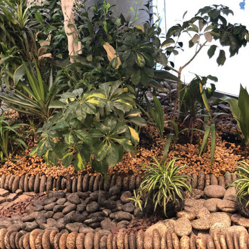 Indoor Air-purifying plantation and Design