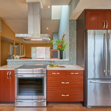 Primary Contemporary Kitchen Renovation
