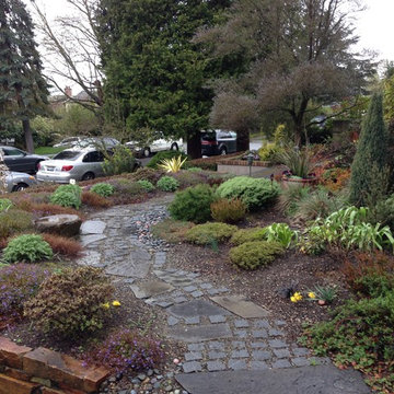 Queen Anne drought tolerant garden