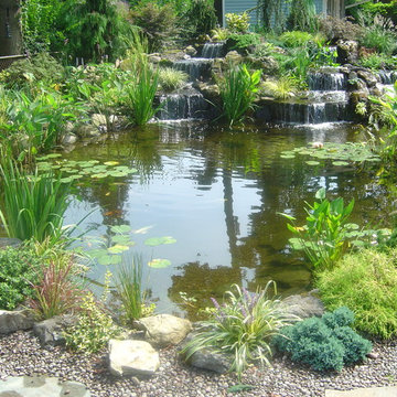 Pond Paradise Designs assorted photos