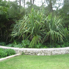 stone walls