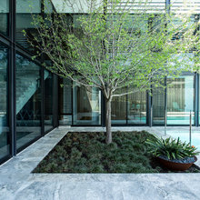 Garden Design