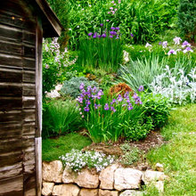 Landscape Ideas