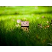 Danboard Dbot's photo