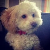 Kate Tayloe's photo