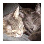 Foto von Lori Green