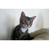 Juvy Santos's photo