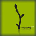 SimpleTwig Architecture.llc's profile photo