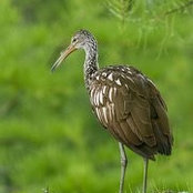 Kevin Leigh's photo