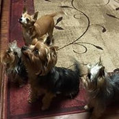 Christy Merrill's photo