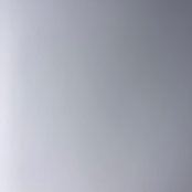 Reilly Stephens's photo
