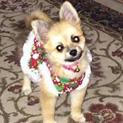 Tina Bedell's photo