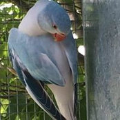 Jane McKinley's photo