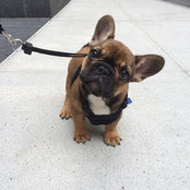 Sandy Spinelli's photo