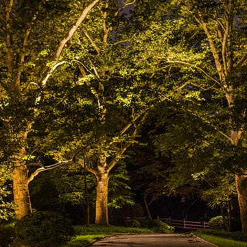 Traditional Estate - Rydal Landscape Lighting