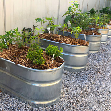 Growing Vibrant Colorful Veggies/ Raised Beds