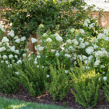 Wallingford Family Garden