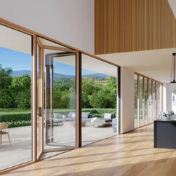 LaCantina V2 Folding Door - Patio Doors