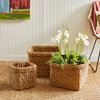 Seagrass Square Baskets With Cuffs, Set of 3