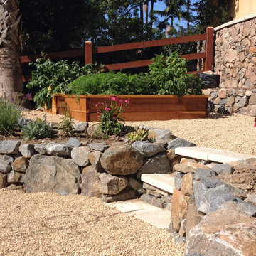 Vegetable Garden