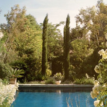 Fraîche: Piscine
