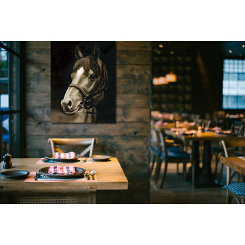 "Montana Horse II" Canvas Art