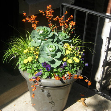 seasonal containers