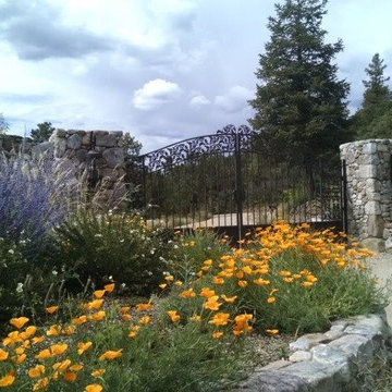 Taos Projects