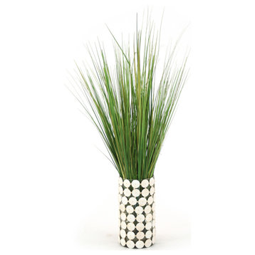 Waterlook® Variegated Light Green Grass in Glass Cylinder