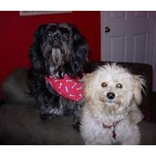 Sharon McDaniel's photo
