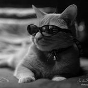 Foto von Chantel LaMore