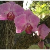 Alyne Tendero's photo