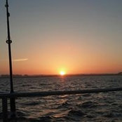 Joe Shelp's photo