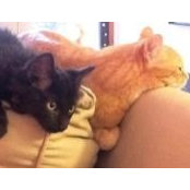 Barbara Watters's photo